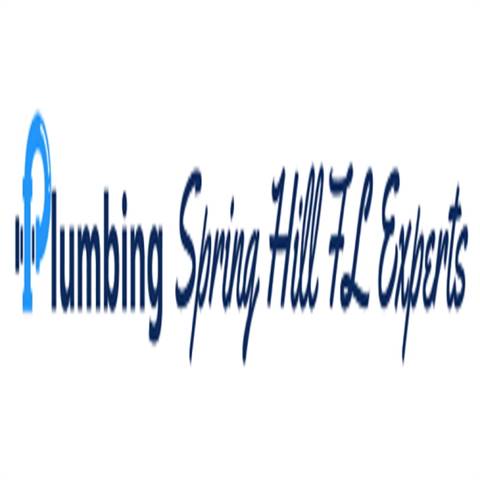 Plumbing Spring Hill FL Experts