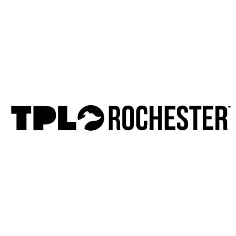 TPLO Rochester