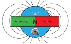 AttractionNaction Incorporated