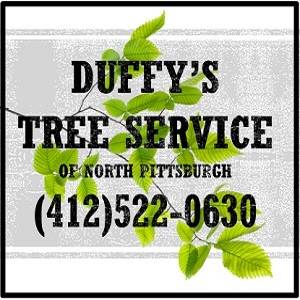 Duffy's Tree Service Pittsburgh PA