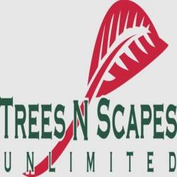 Trees N Scapes Unlimited